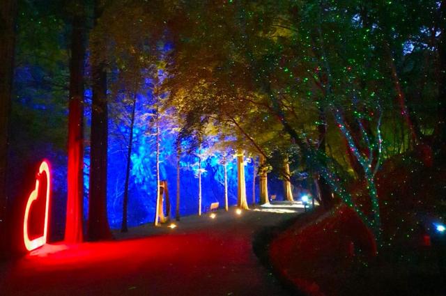 강천산 군립공원이 이달 15일부터 11월 9일까지 매주 토요일마다 야간개장을 한다사진순창군