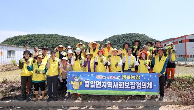 Seongju-gun, Conseil de sécurité communautaire de Yongam-myeon, a procédé à la plantation de riz à Happy Farm
