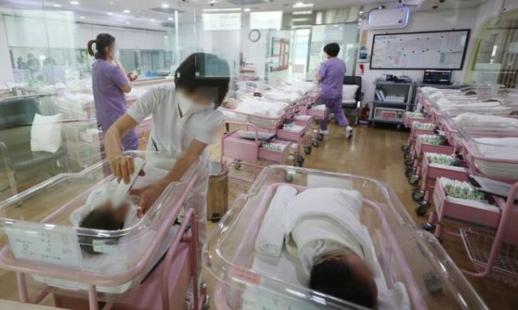 Nếu Hàn Quốc tăng 1% so với GDP trong trợ cấp tiền mặt cho các gia đình thì tổng tỷ suất sinh sẽ tăng thêm 0,06 người
