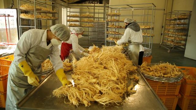 경북 풍기 ‘영농조합법인 SG순우리인삼’ 직원들이 홍삼 제품을 생산하고 있다 사진 SG순우리인삼