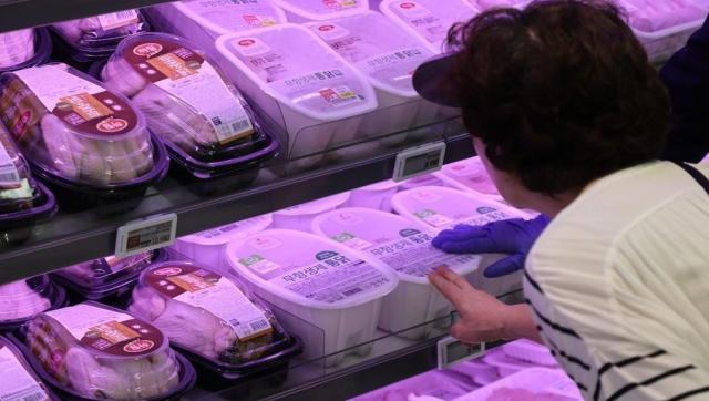 서울 시내 대형마트 닭·오리 판매대에서 시민들이 장을 보고 있다 사진연합뉴스