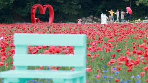 江原道成夏季度假胜地 5月外籍游客同比翻一番