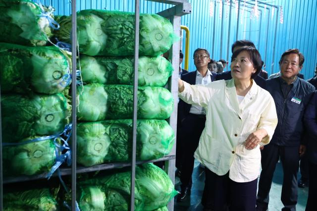 송미령 농림축산식품부 장관이 17일 강원 평창군을 방문해 여름 배추 작황을 점검하고 있다 