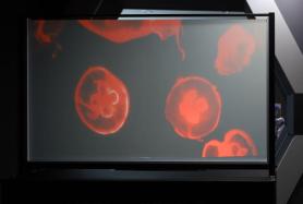 Korean researchers develop mass-producible large transparent screens