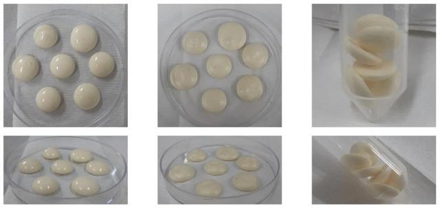 한국과학기술원카이스트 연구팀이 미생물을 이용한 달걀 대체물을 개발했다 해당 물질로 만든 머랭 쿠키 사진카이스트