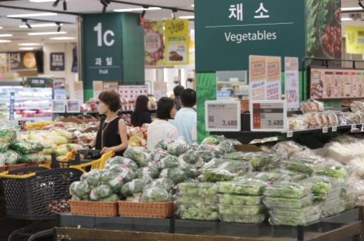 蔬菜价坐火箭 8月批发价或继续上涨