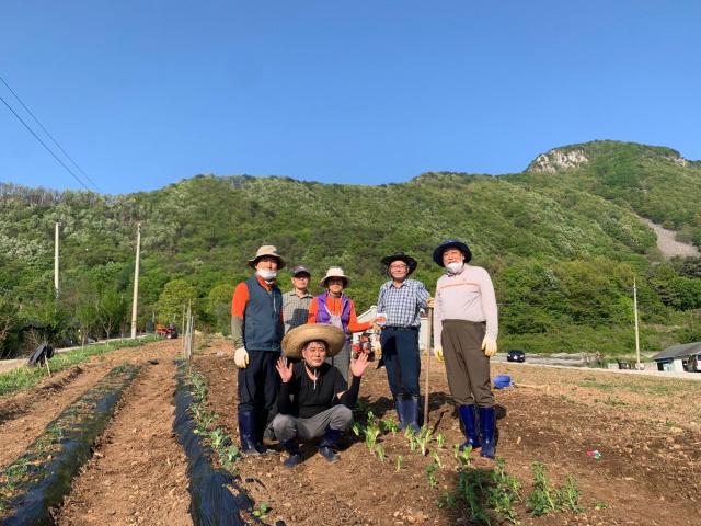 농촌에서 살아보기 참여자 영농실습 모습사진밀양시