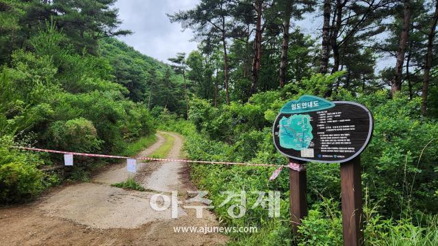 대구 군위군은 집중호우 시 지반이 약해져 산사태 낙석 사면붕괴 토사유출 등으로 현장 및 산사태취약지역을 집중 점검하였다 사진대구 군위군