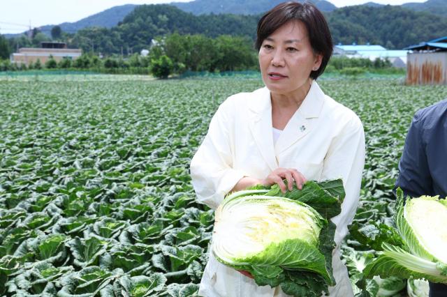 송미령 농림축산식품부 장관이 6월 17일 강원도 평창 고랭지 배추밭을 찾아 배추 작황을 점검하고 있다 사진농림축산식품부