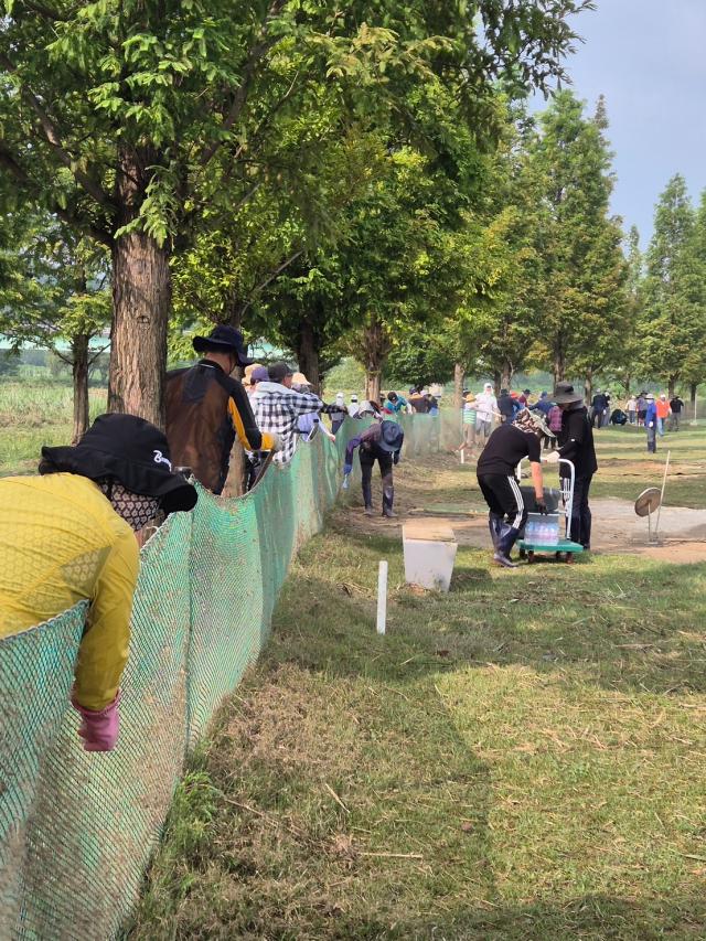 새마을체육과·체육시설사업소·영천시체육회 직원 및 영천시파크골프협회 회원들이 강변체육시설 피해 복구에 구슬땀을 흘리고 있다사진영천시