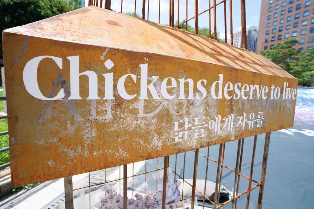 An installation reading Chickens deserve to live is displayed at the 2024 Boknal Memorial Action event near Bosingak Pavilion in Seoul on July 15 2024 AJU PRESS Park Jong-hyeok