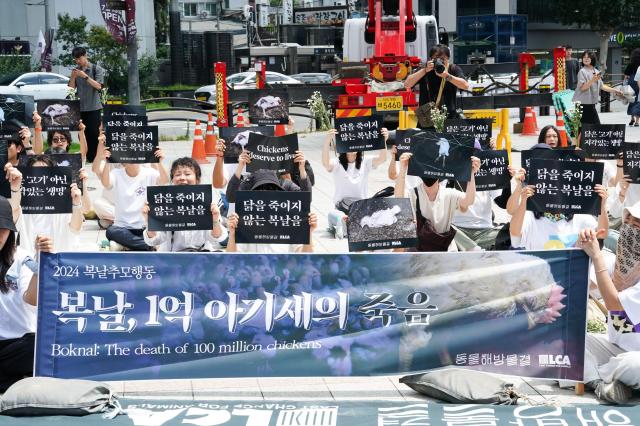 Members of Animal Liberation Wave participate in the 2024 Boknal Memorial Action in front of Bosingak Pavilion Seoul on July 15 2024 The event protests the traditional consumption of samgyetang a chicken soup dish during Koreas hottest summer days citing animal welfare concerns AJU PRESS Park Jong-hyeok