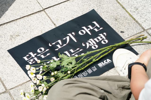 Members of Animal Liberation Wave set up placards and floral tributes honoring chickens at the 2024 Boknal Memorial Action near Bosingak Pavilion in Seoul on July 15 2024 AJU PRESS Park Jong-hyeok