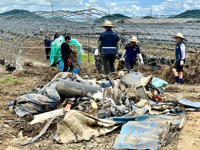 논산지역 수혜복구 현장하우스 농가에서 피해 복구 지원 장면사진충남교육청
