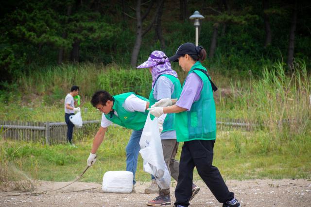 여름 성수기를 앞두고 본격 해변정화에 나선 아일랜드 리솜 직원들과 지역민들 사진호반호텔앤리조트