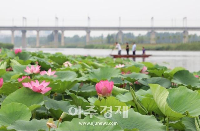 사진중국산동망