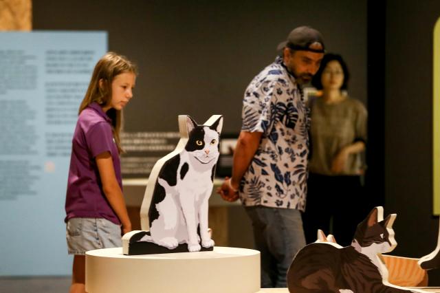 Visitors view exhibits at the Cat-ch me if you can at National Folk Museum in Seoul on July 17 2024 AJU PRESS Kim Dong-woo