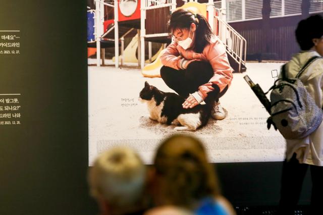 Visitors view exhibits at the Cat-ch me if you can at National Folk Museum in Seoul on July 17 2024 AJU PRESS Kim Dong-woo