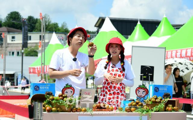  지난 2023 화천토마토축제장에서 진행된 공영쇼핑 라이브 방송사진화천군