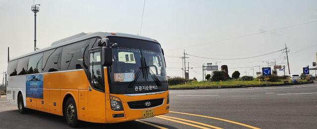 済州観光地循環バス18台→7台に縮小··· 旅行客減少で財政支援中断