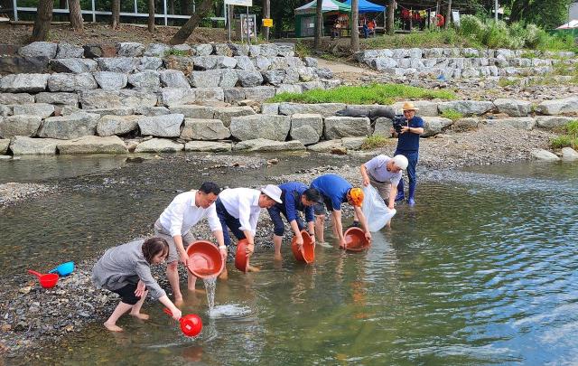 Baby leopard mandarin fishes being released in to the wild July 15 2024 Courtesy of Cheongju City