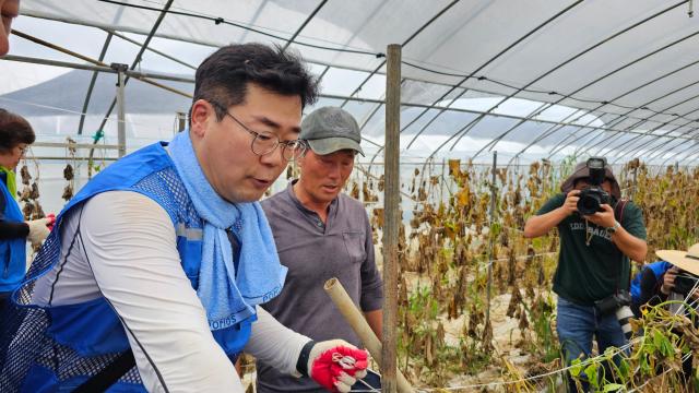 박찬대 더불어민주당 당 대표 직무대행과 지도부가 23일 최근 계속된 집중호우로 피해를 본 충남 부여 임천면 한 농가를 방문해 복구 작업을 돕고 있다 사진연합뉴스