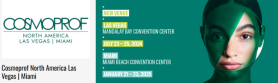 Korean firms face setback at US beauty expo after container theft