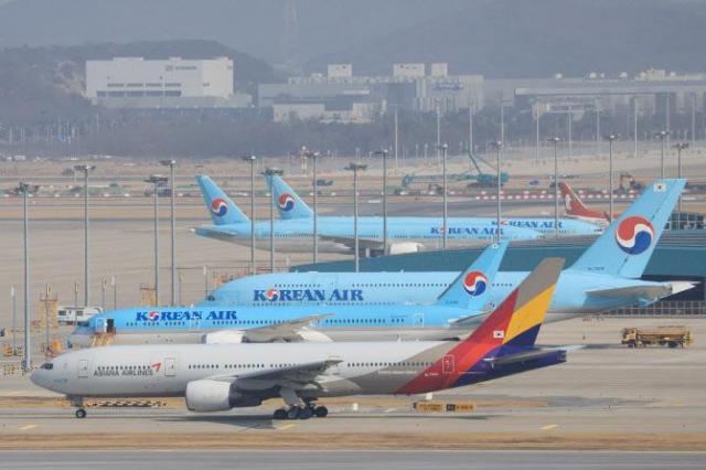 海淘热潮加半导体复苏 韩国上半年航空货运量超疫前水平