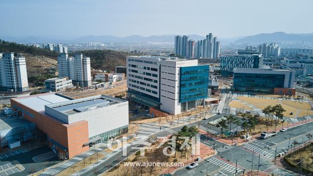 케이메디허브 연구원이 아밀로이드 베타와 타우 단백질을 동반 억제하는 저분자화합물의 연구성과를 국제학술지 표지논문으로 게재했다 사진케이메디허브