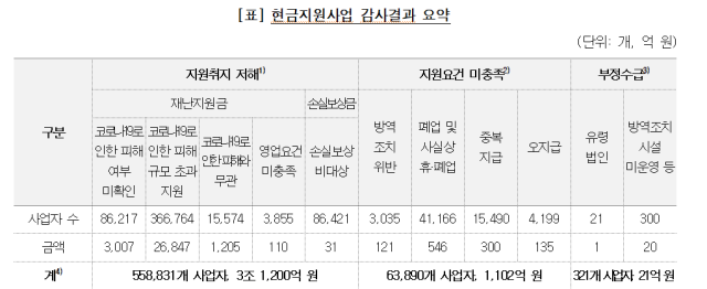  현금지원사업 감사결과 요약 사진감사원