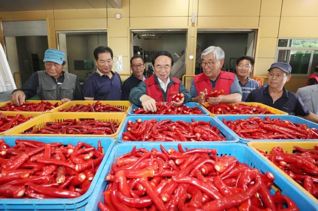 심민 임실군수가운데가 임실홍실 고추 수매현장을 찾아 농민들과 대화를 나누고 있다사진임실군