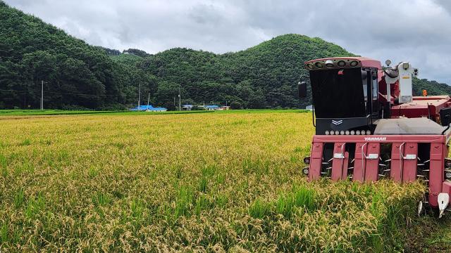 사진충남도