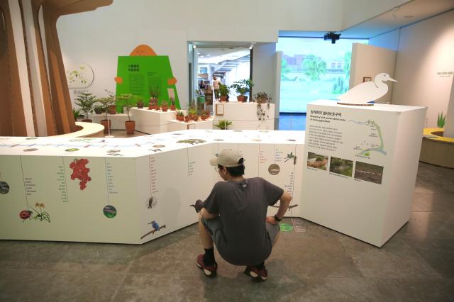 A visitor views the Please protect us exhibition at Cheonggyecheon Museum Seoul on July 30 2024 AJU PRESS Han Jun-gu