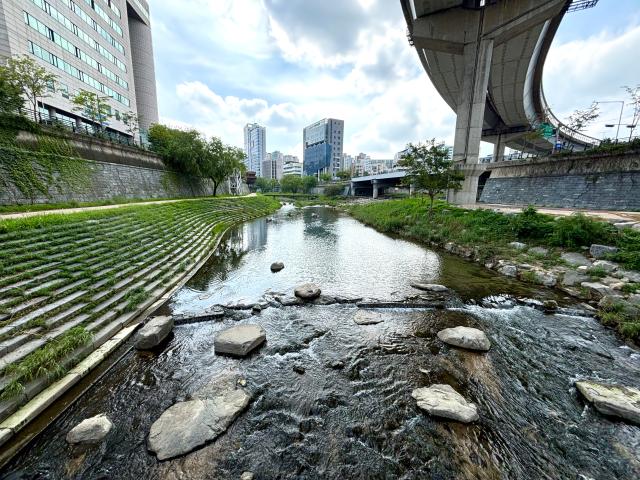 Clear water flows in Cheonggyecheon Seoul on July 30 2024 AJU PRESS Han Jun-gu