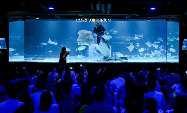 Visitors attend a Ray Feed  Talk Session at COEX Aquarium in Seoul on July 31 2024 AJU PRESS Kim Dong-woo