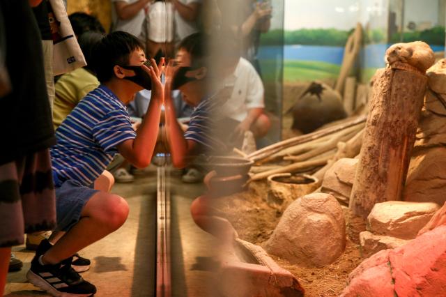 A visitor observes prairie dogs at COEX Aquarium in Seoul on July 31 2024 AJU PRESS Kim Dong-woo