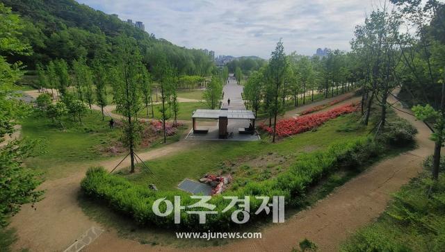 대구시는 산림청에서 선정한 ‘아름다운 도시숲 50선’에 두류공원 도시숲과 달성공원 도시숲이 이름을 올렸다 사진대구시