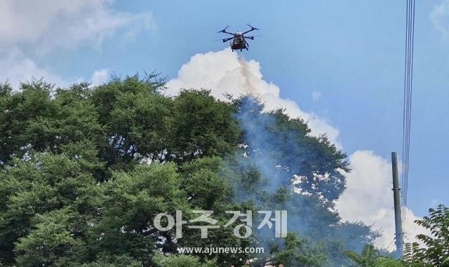 대구 군위군은 돌발해충 현장예찰을 통해 관내 돌발해충의 발생 정도가 심각함을 확인 드론을 이용한 산림병해충 방제를 실시한다 사진대구군위군