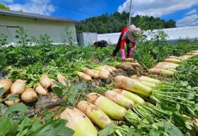 Nắng nóng "thiêu đốt" Hàn Quốc…Ghi nhận 14 người tử vong·gần 2.000 người mắc các bệnh liên quan đến nhiệt