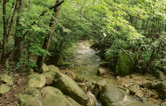 월출산 국립공원의 경포대 계곡 사진강진군