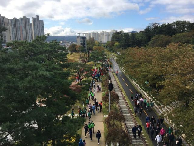 포항 철길숲을 걷는 시민들 사진포항시