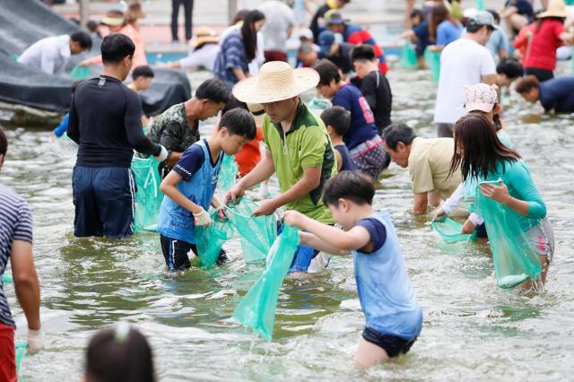 제16회 보성전어축제가 8월 16일 개막한다2017년 전어잡기 체험 사진