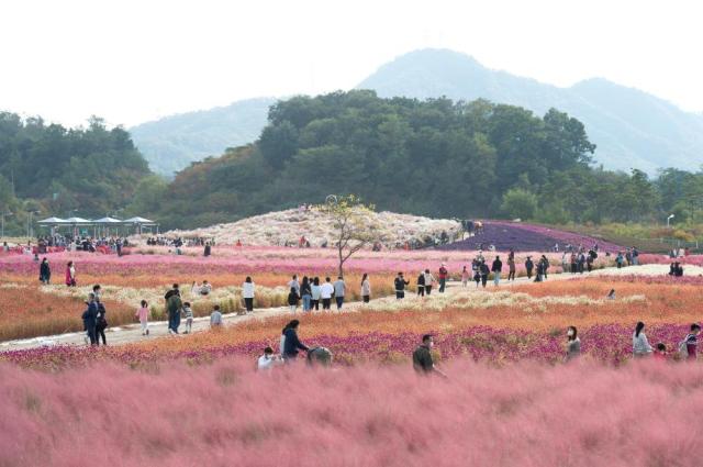 양주 나리공원사진양주시