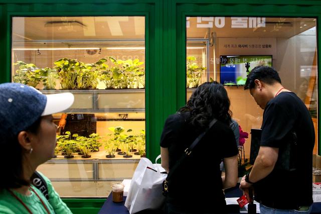 Visitors look at the wasabi on display at the 74th World Franchise Expo held at COEX in Seoul on Aug 8 2024 AJU PRESS Kim Dong-woo