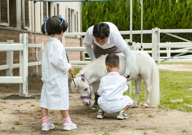 
한국마사회 렛츠런파크 부산경남본부장 엄영석은 어린이들에게 일상 속에서 만나기 힘든 말을 소개하고 말과 관련된 다양한 직업을 알리기 위해 2024 부산 어린이 박람회에 ‘미니호스 체험 부스’를 운영한다사진렛츠런파크 부산경남