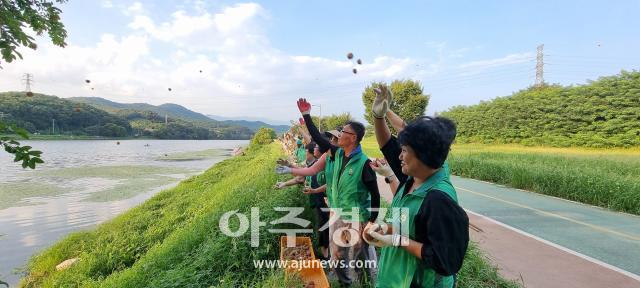 대구 북구청 새마을지도자는 산격대교 아래 금호강변에서 EM 흙공을 던지고 하천주변 줍깅활동을 전개했다 사진대구북구