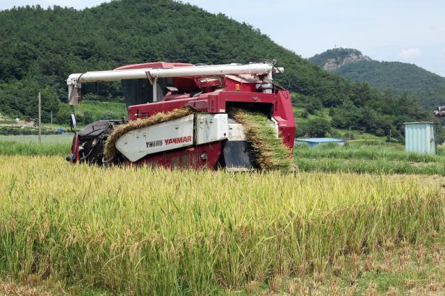 農協、10万トン規模のコメ消費促進対策を推進