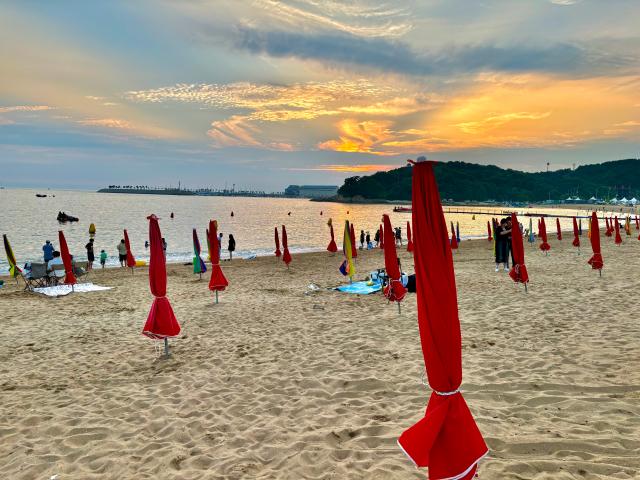 Parasols are set up for visitors at Wangsan Beach in Incheon on Aug 11 AJU PRESS Han Jun-gu