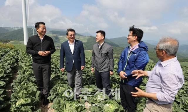 관계자들이 지난 14일 강릉시 왕산면 대기리에 위치한 안반데기를 방문하여 고랭지 채소 생육 및 수급 상황에 대한 점검을 하고 있다사진강릉시