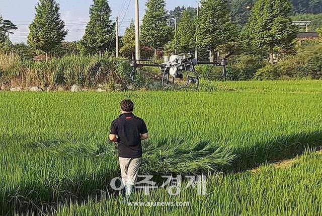 지난 12일 농업용 드론 통합 시스템을 통한 항공방제를 시연하는 모습 사진태안군